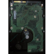HP 454228-001 146Gb 15k SAS HDD (Калуга)