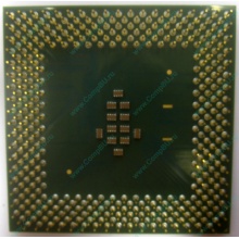 Celeron 1000A в Калуге, процессор Intel Celeron 1000 A SL5ZF (1GHz /256kb /100MHz /1.475V) s.370 (Калуга)