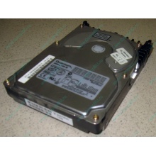 Жесткий диск 18.4Gb Quantum Atlas 10K III U160 SCSI (Калуга)