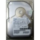 Жесткий диск 18.2Gb IBM Ultrastar DDYS-T18350 Ultra3 SCSI (Калуга)