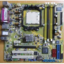 Материнская плата Asus M2NPV-VM socket AM2 (без задней планки-заглушки) - Калуга