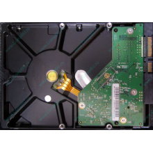 Б/У жёсткий диск 1Tb Western Digital WD10EVVS Green (WD AV-GP 1000 GB) 5400 rpm SATA (Калуга)
