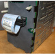 HP 365664-001 кабель SCSI для корзины 373108-001 / 359719-001 HP ML370G4 (Калуга)