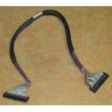 FDD-кабель HP 271946-006 для HP ML370 G3 G4 (Калуга)