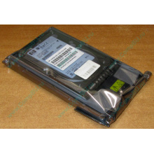 Жёсткий диск 146.8Gb HP 365695-008 404708-001 BD14689BB9 256716-B22 MAW3147NC 10000 rpm Ultra320 Wide SCSI купить в Калуге, цена (Калуга).
