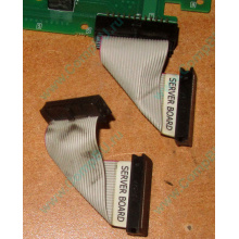 6017B0045701 Шлейф 24 pin для Intel C74974-401 T0043401-B01 корпуса SR2400 (Калуга)