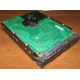 Жесткий диск 300Gb 15k Seagate Cheetach ST3300656SS 15K.6 Dell 9CH066-050 6G SAS (Калуга)